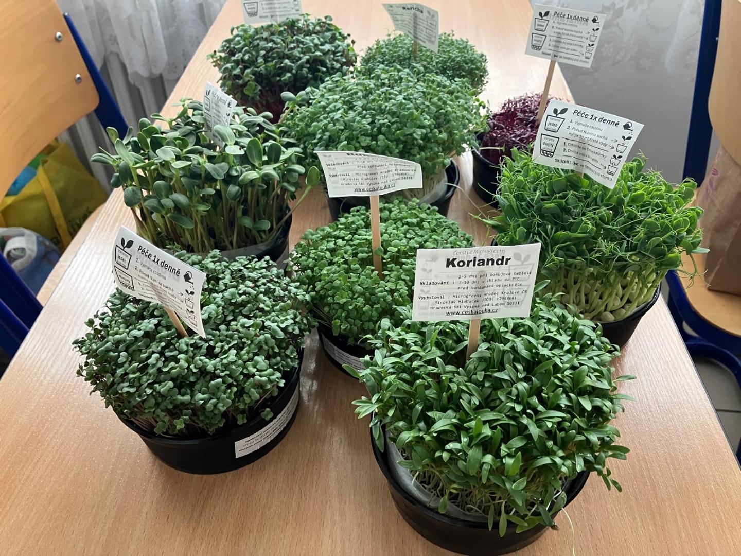microgreens