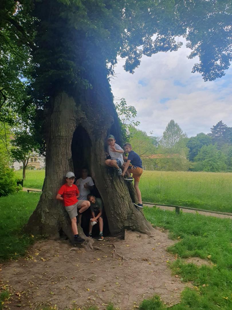 Skupinové foto